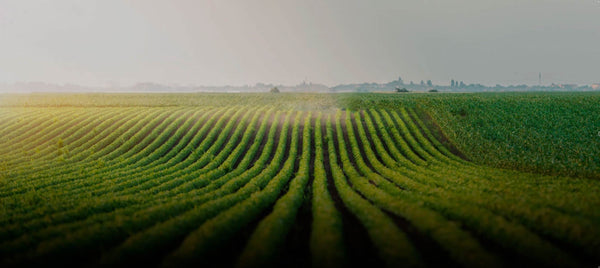 Sustainability Is an Important Part of Our Mission. This Measure Just Saved 1,700 Kilos of Plastic.