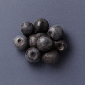 Family Pack | Berries