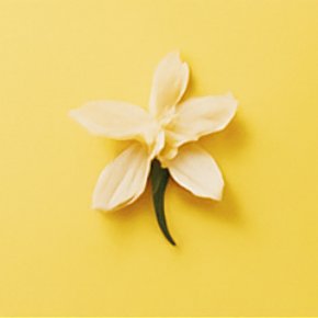 Family Pack | Origin